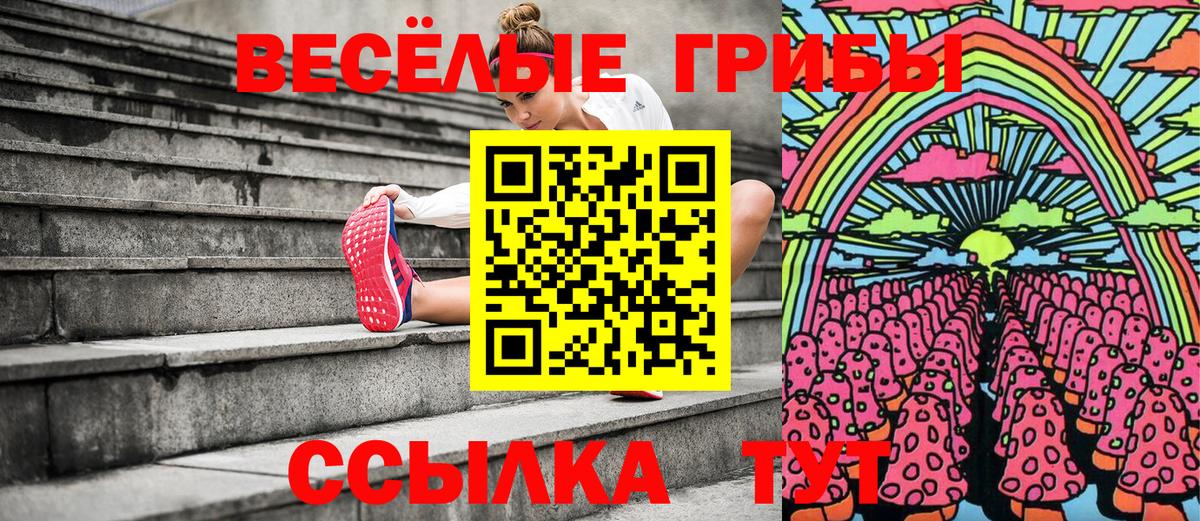 Галлюциногенные грибы Psilocybine cubensis Лосино-Петровский