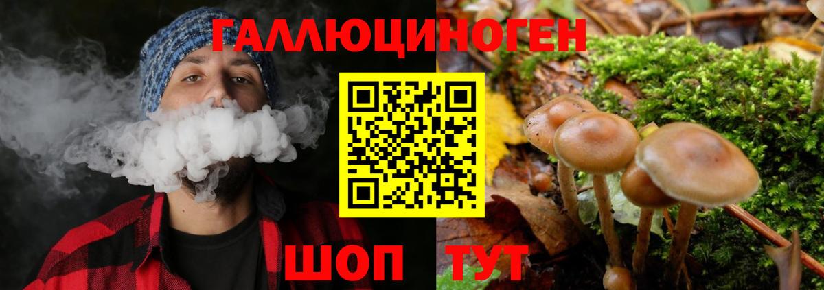 Псилоцибиновые грибы MAGIC MUSHROOMS  Вход с VPN  Галлюциногенные грибы ЛСД  Лосино-Петровский 